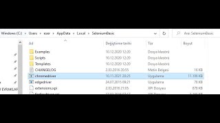 Mutlaka yapmanız gereken güncelleme ! Chrome driver nasıl güncellenir?