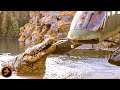 Crocodile Vs Helicopter Scene LAKE PLACID Bill Pullman Brendan Gleeson