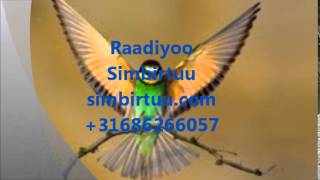 Simbirtuu 04 06 2015