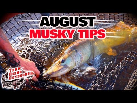 Musky Fishing Basics - August Musky Fishing Tips