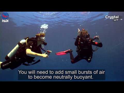 How to Do the Five Point Descent without Bottom Contact 🥽 PADI IDC Skills Dive Instructor