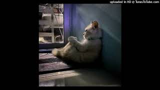 Download lagu everything - the black skirt (sped up reverb) mp3 Download lagu everything - the black skirt (sped up reverb) mp3