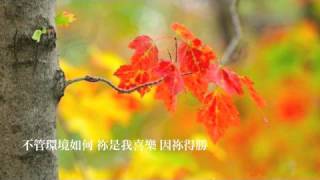 『開我的心』Worship Asia 神的羔羊(基督教詩歌,團契遊樂園推介)