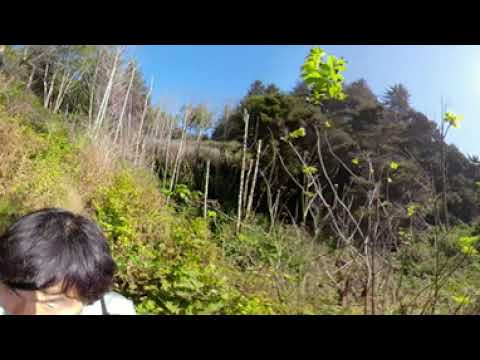 190824 VIDEO 1482 Carruthers Cove Trial