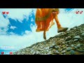 Tamil Lovely Status Song What S App