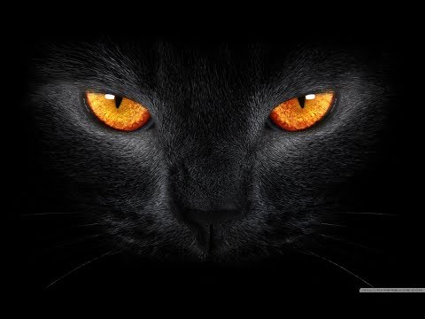 Furia Buia Woodsball Training