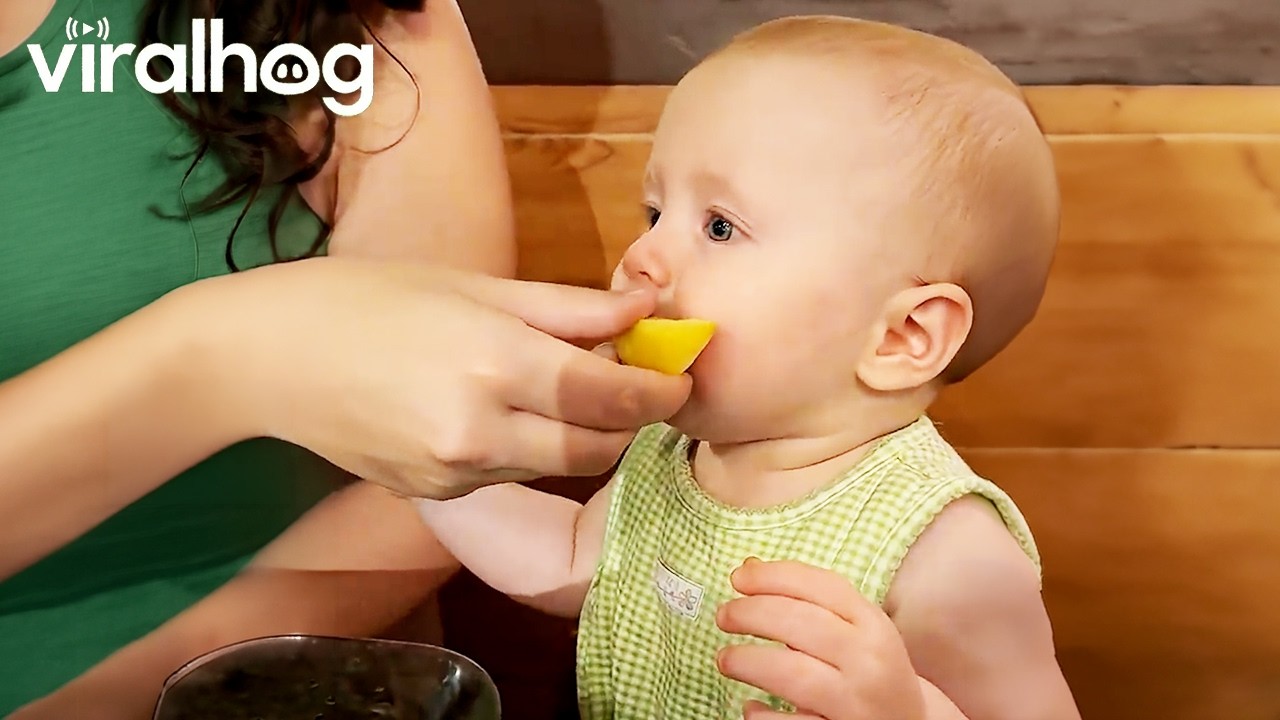 Baby Eats Lemon for the First Time || ViralHog
