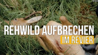 Freunde der Jagd | Folge 30 - &#39;Rehwild im Feld aufbrechen&#39;