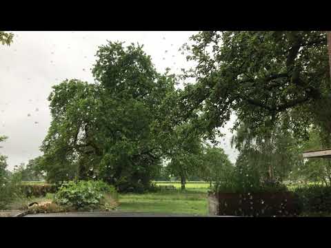 1. Korinther 3, 7 mit Nala & Balou - 05.06.2020