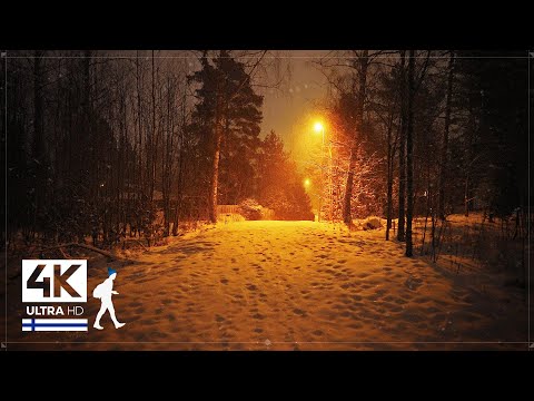 1 Hour Therapeutic Nighttime Snowfall Walk in Finland - Slow TV 4K
