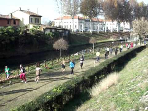 Cittadella   Corsa Campestre   Alieve   Anno Scolastico   2011 2012