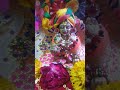 Dwarka No Nath Maro Samariyo Sarkar Laddu Gopal Status ️ Shorts Ytshorts Laddugopalseva