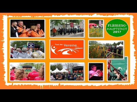 Fest der Vereine 2017 - Der Einmarsch