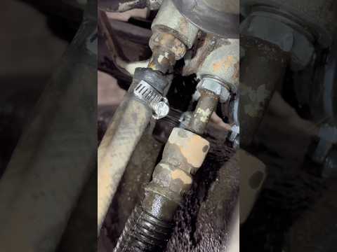 What happens if my car leaks oil from a power steering hose? #mechanics #cars #workshop