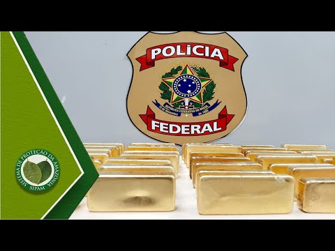 'Barões' do ouro ilegal no Brasil: dinheiro movimentado às margens da lei chegou a R$ 16 bilhões