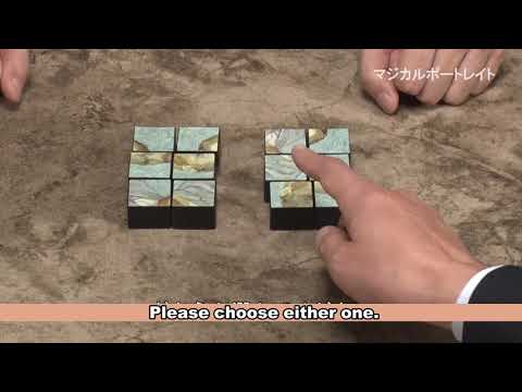 Instant Portrait by TENYO / SEO MAGIC