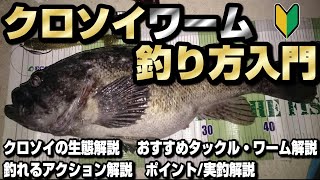 【クロソイワーム】 クロソイを確実に釣りたい人必見！クロソイの生態から効率よく釣る方法や釣る為に必要な釣り方を解説！初心者入門