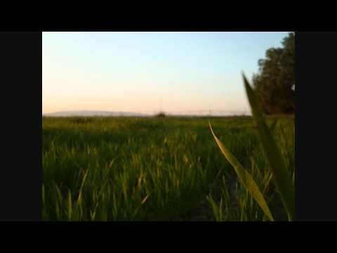 Gui Boratto vs Marc Romboy - Eurasia feat Luciana Villanova