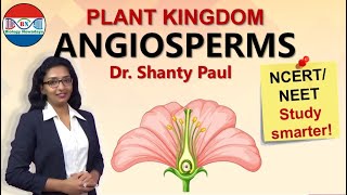 Angiosperms | Plant kingdom