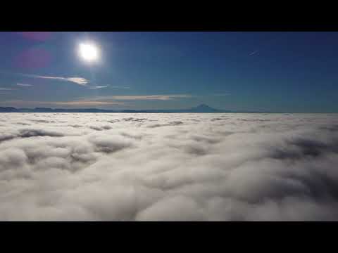 Above the fog, Seattle, 01/27/2022