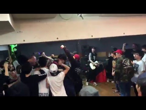 Stray from the Path - Wolf Down