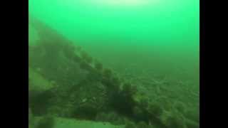 preview picture of video '2014-12-14 Diving South Douglas Beach'