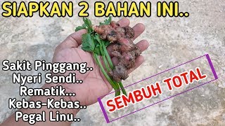 Download lagu Hanya 1-2 Hari Sakit Pinggang Sembuh Total l Cara Menyembuhkan Nyeri Pinggang Secara Alami mp3