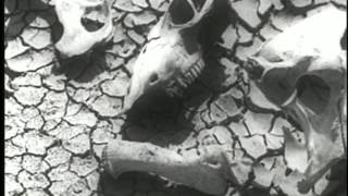 Life in a Ghost Town - Song by Laslow Simplex