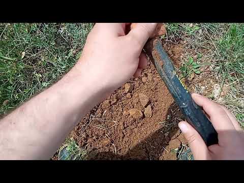 Defineci Taşın İçinden Altın Parçaları Çıkardı !!!