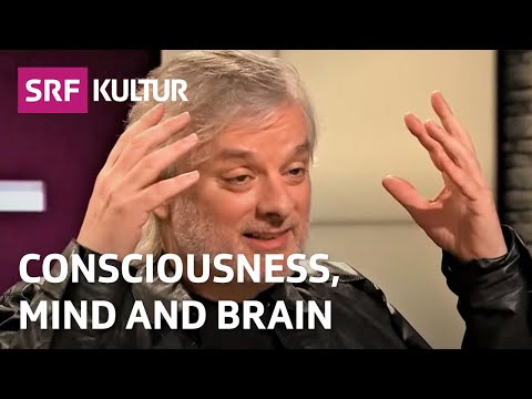 What Is Consciousness? | TV Talk with David Chalmers | Philosophy Hour | SRF Culture
