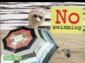 Sesame Street Elmo S World 1293
