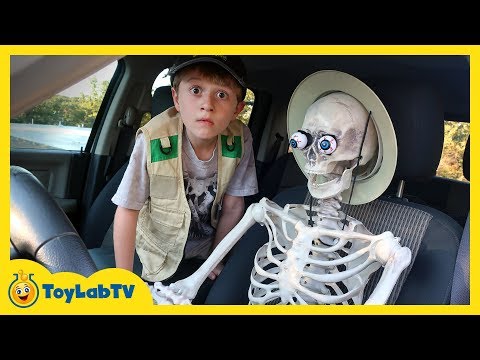 image-What is a skeleton for Grade 3?