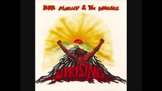 6. Zion Train - Bob Marley (Uprising)(VID)
