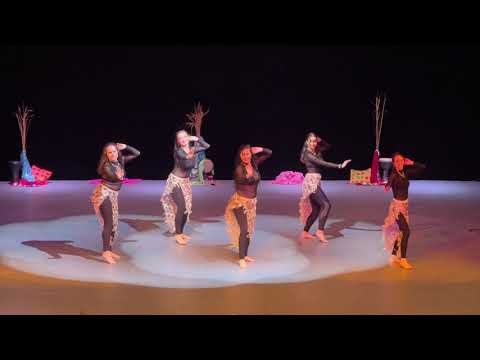 Taneční skupina Warda - Salsa Bellydance Fusion - Orientální tance Vyškov