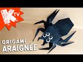Origami Araignée facile - Halloween