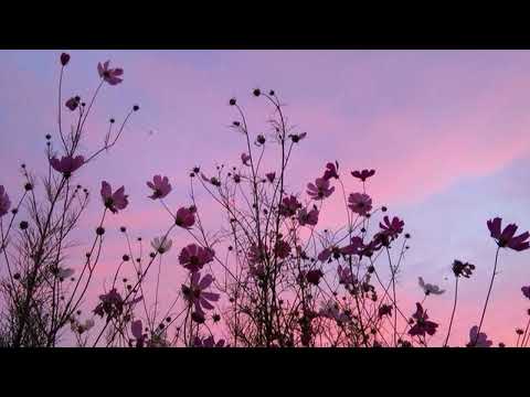 (FREE) Jean Tassy X Yago Oproprio X Sagaz Type Beat - "Lilás"