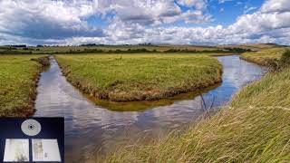 Liquido - What You Keep Inside