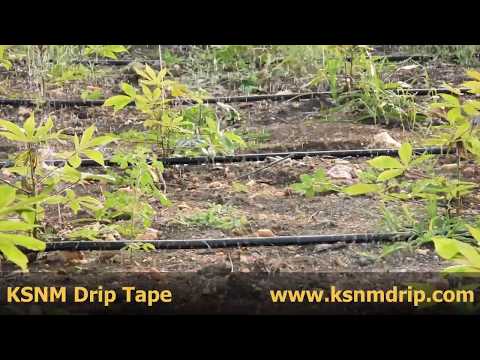 Drip Irrigation Line Tape
