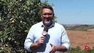 Miniatura do vídeo