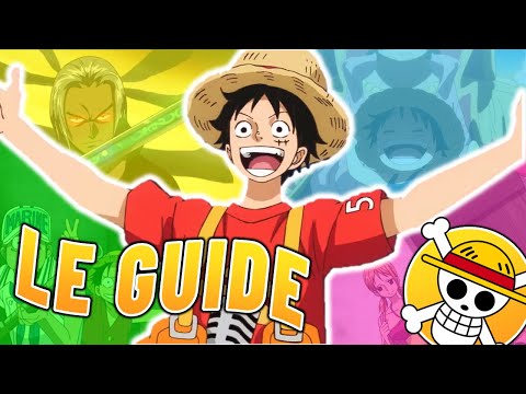 LE GUIDE POUR REGARDER ONE PIECE