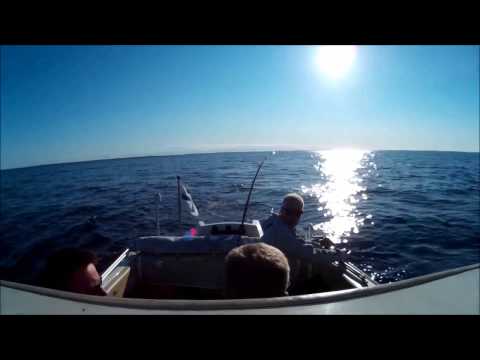 Salmon trolling  Åland Eckerö.