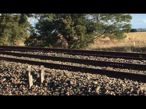 XR554 XR553 XR555 on 9155 (14/5/2021)