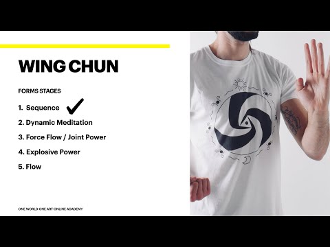 Siu Nim Tao (PART 1) - Sequence