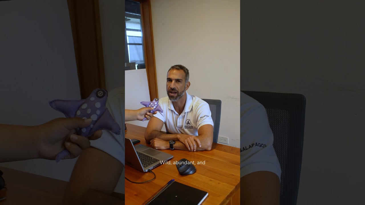 🌊 Científicos de Galápagos RESPONDEN esto sobre el mar 😱🐢 #Shorts