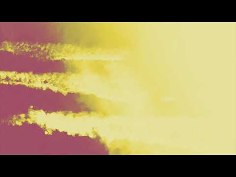 Mikael Sapin - Champs Fauchés