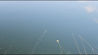 Quick 10-15 minutes of BASS Fishing fast action