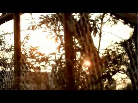 Steve Jansen & David Torn "March Of The Innocents"