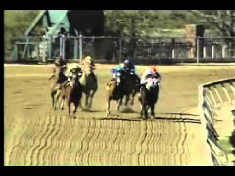 Pimlico 04/27/14 race 8