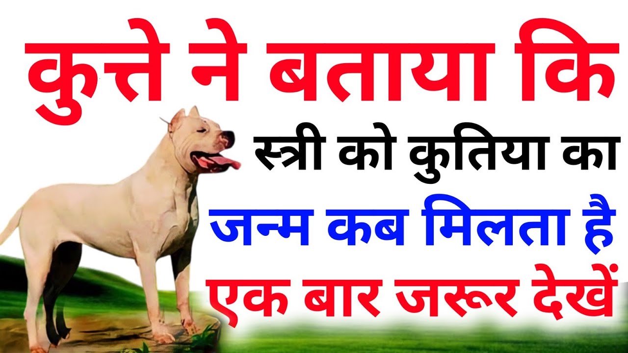 कुत्ते ने बताया कि स्त्री को किस पाप के कारण कुतिया का जन्म कब लेना पड़ता है