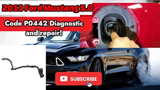 How to remove and install Fuel filler neck on a 2010-2017 Ford Mustang GT 5.0. Code P0442-Evap leak!